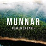 Munnar, Kerala | India | Mavic Mini Cinematic Travel Film