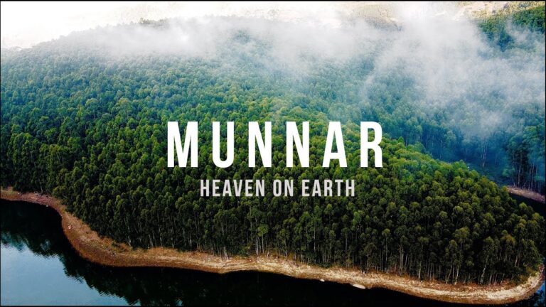 Munnar, Kerala | India | Mavic Mini Cinematic Travel Film