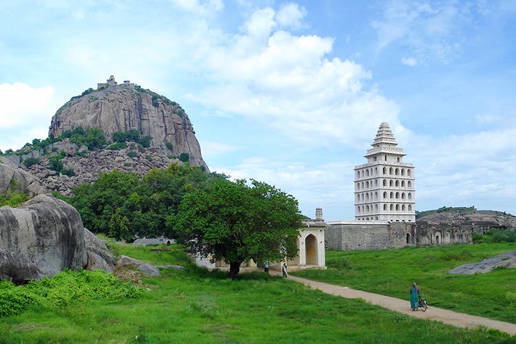 GingeeFort1