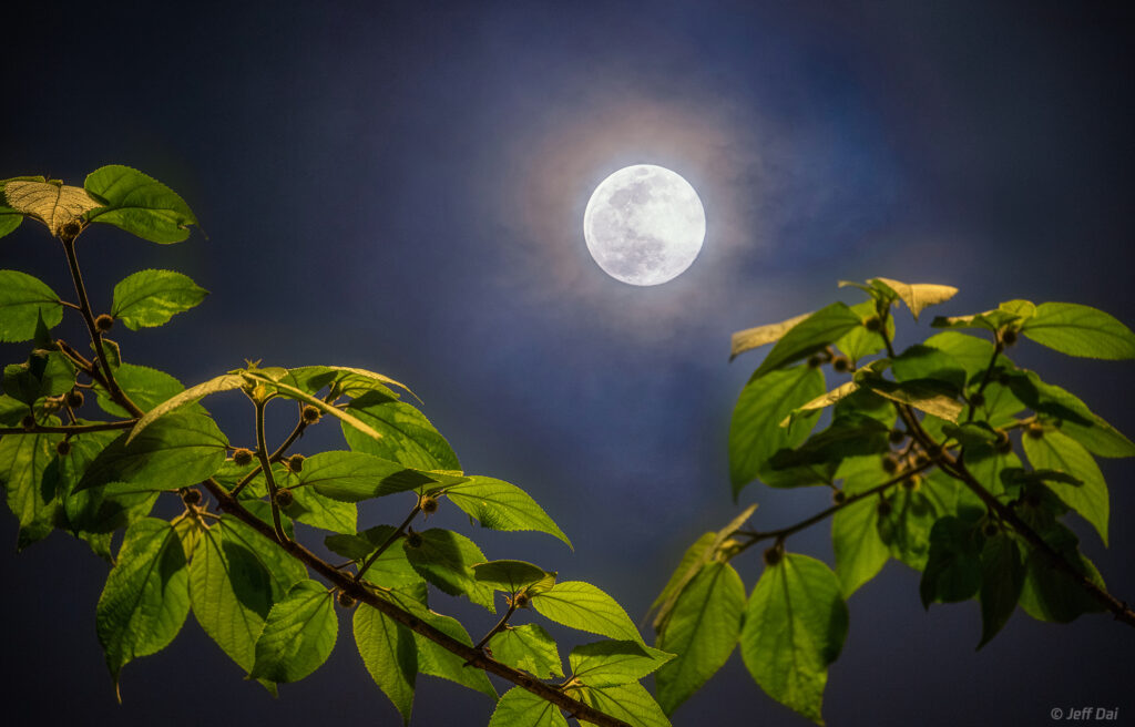 full moon day