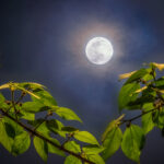 full moon day