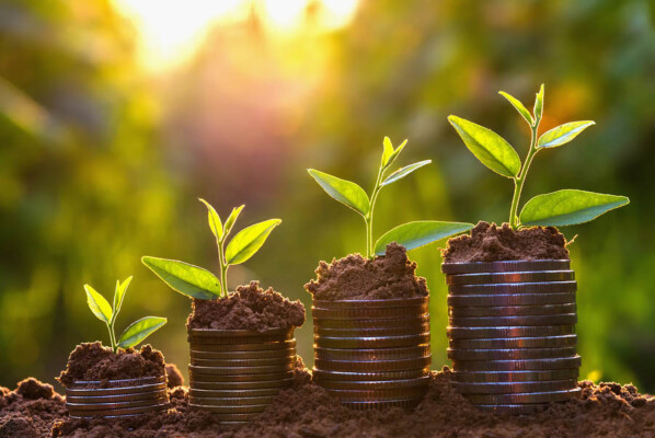 money energy