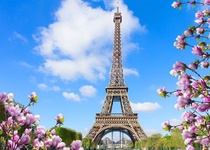 world-tourist-attractions-eiffel-tower-flowers-spring