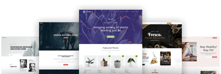 Web design Pondicherry