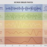 human-brain-waves-chart-e1542044346637