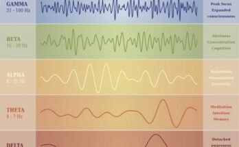 human-brain-waves-chart-e1542044346637