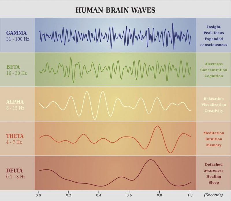 human-brain-waves-chart-e1542044346637