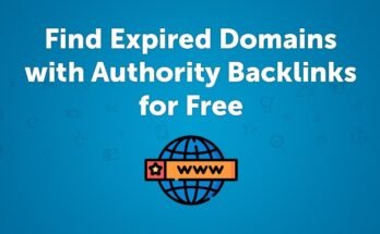 Premium Expired Domains with Authority Backlinks