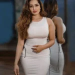 Aditi Mistry Upcoming Web Series