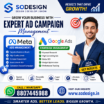 Meta ads campaign management
